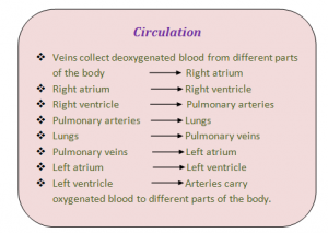 Circulation of Blood Circulation of Blood