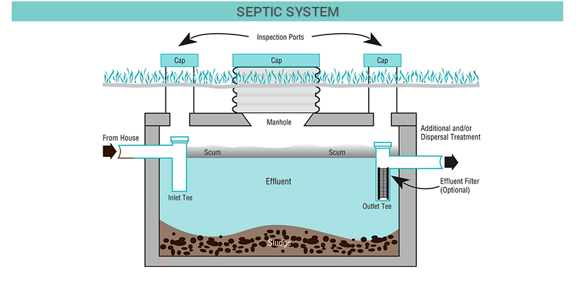 Sewage Management Methods Septic System Vermi processing