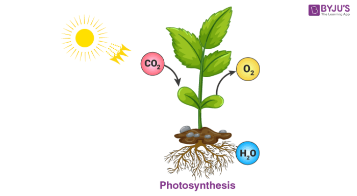 chemical changes in daily life