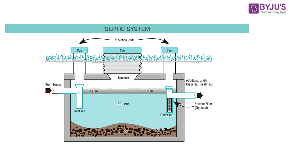 Sewage Management Methods | Septic System | Vermi-processing