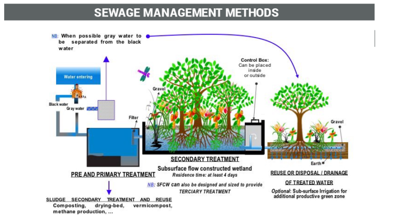 sewage-management-methods-septic-system-vermi-processing