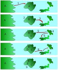 Adaptive Radiation