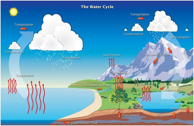 Water Cycle - Process and its Various Stages