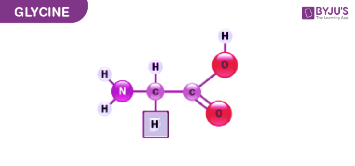 Glycine Structure Properties Uses Benefits With Images And FAQs