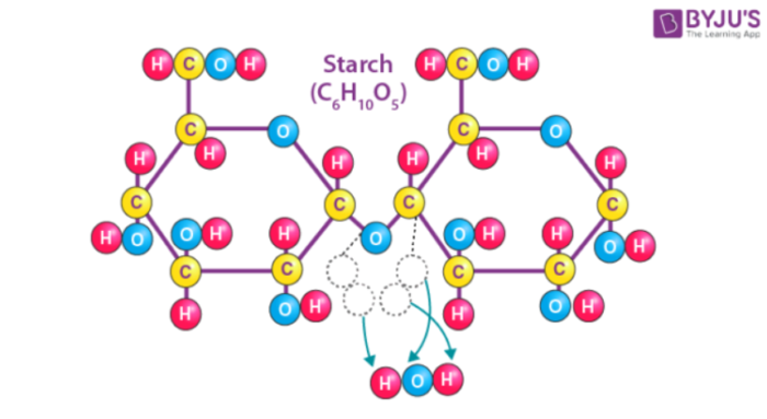 Which Of The Following Is Natural Polymer Natural Polymers | Polymers | Chemistry|Source of Polymers | Byju's