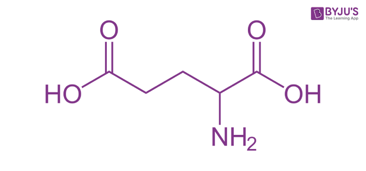 Glutamine - Functions & Uses, Structure of Glutamine