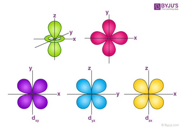 sp orbital shape