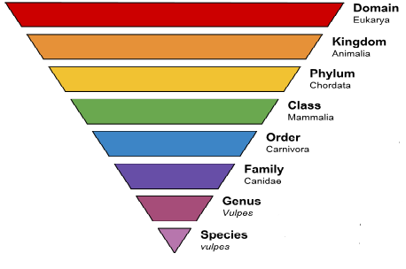 Mnemonics For UPSC Preparation-5