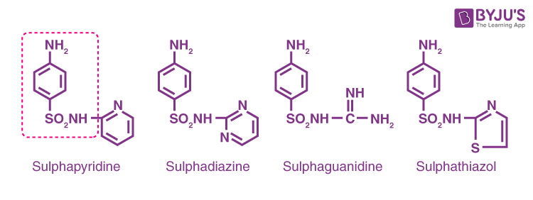 classification of drugs essay