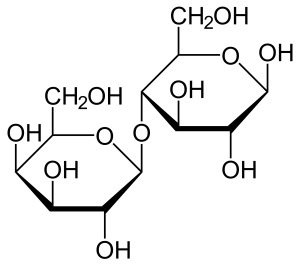 Disaccharides - Lactose Disaccharides - Lactose