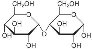 Disaccharides - Maltose Disaccharides - Maltose