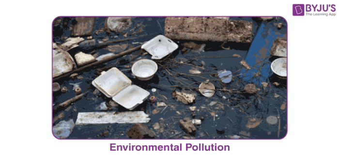 Environmental pollution