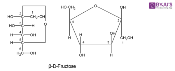 Fructose Molecule - Chemical and Physical Properties