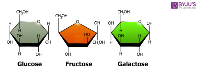 Fructose Structure - Diagrams, Ring Structure, Properties, Uses