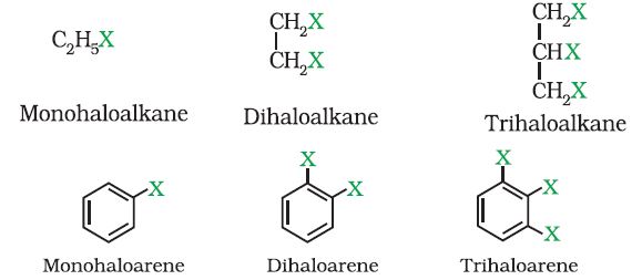 Haloalkanes and Haloarenes Haloalkanes and Haloarenes