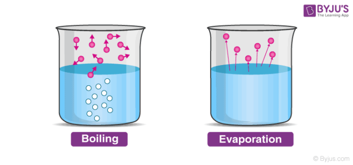 Vaporization