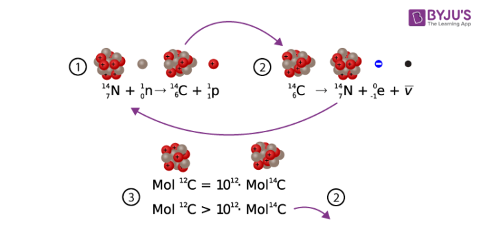 Carbon Dating Its Importance The Physics Behind It Chemistry Byju S