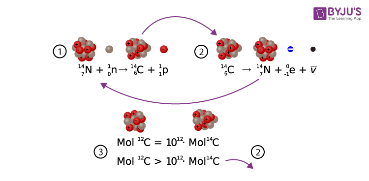 Carbon Dating | Its importance & the physics behind it | Chemistry | Byju's