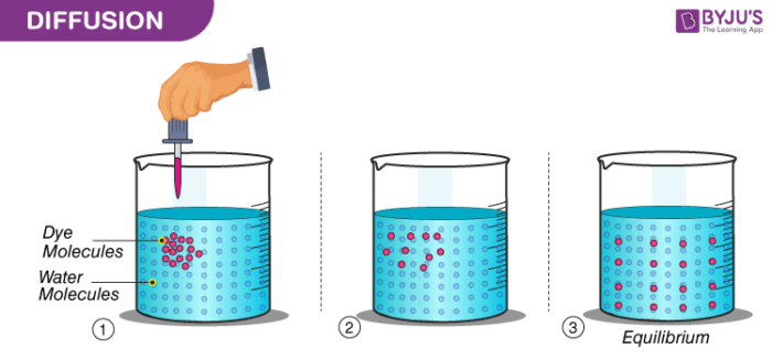 particles of matter characteristics