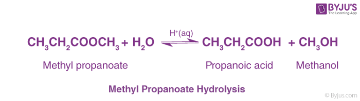 Methyl Propanoate Hydrolysis