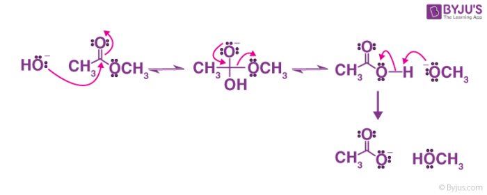 Ester Hydrolysis Mechanism And Applications Of Ester Hydrolysis