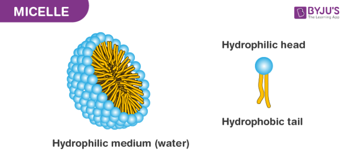 Micelle - Reverse Micelles | Supercells | Applications of Micelle