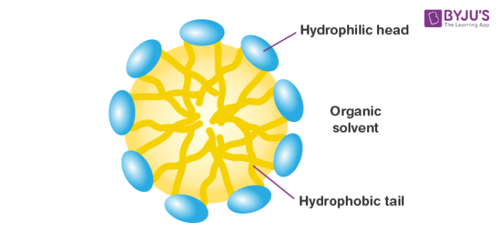 Micelle - Reverse Micelles | Supercells | Applications of Micelle