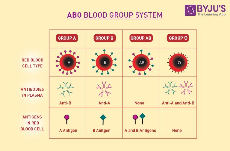 Abo System Chart