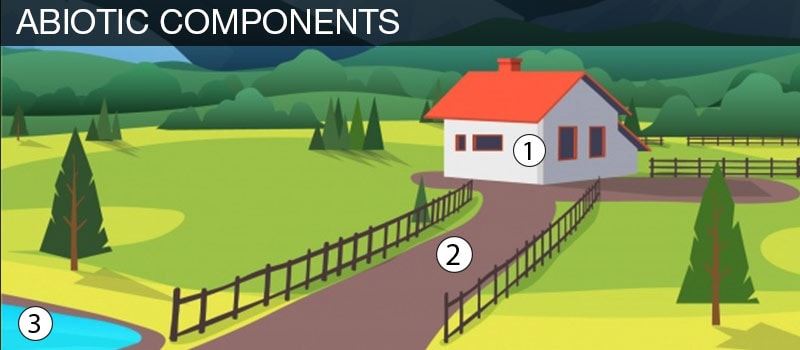 Abiotic components