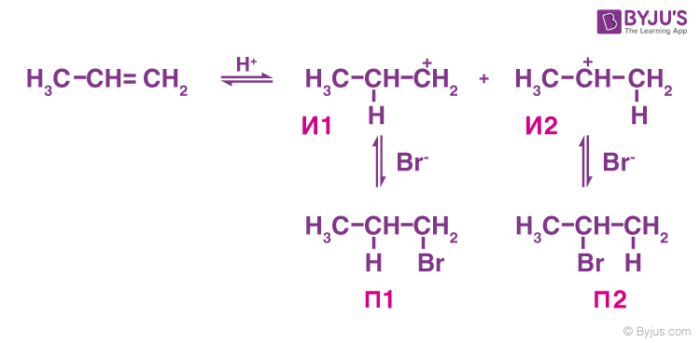 Alkyl Halides (Haloalkanes) - Preparation, Structure & Reactions