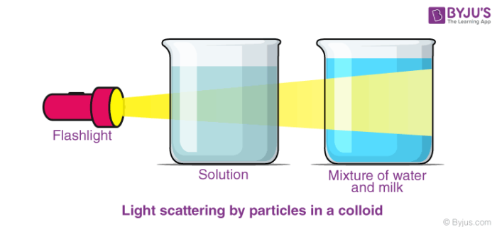 Examples of Colloids