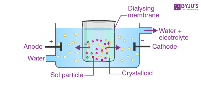 Coagulation Of Colloidal Solutions And Coagulation Techniques