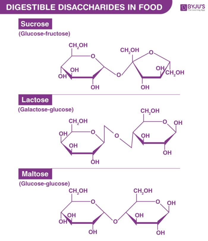 lactose structure diagram