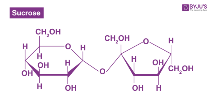 Disaccharides - Sucrose