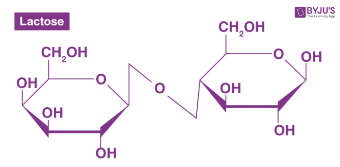 lactose structure diagram