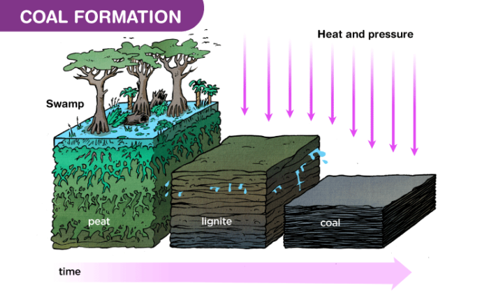 formation of fossil fuels diagram