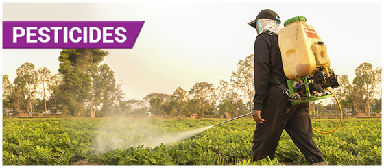 excessive use of insecticides and pesticides