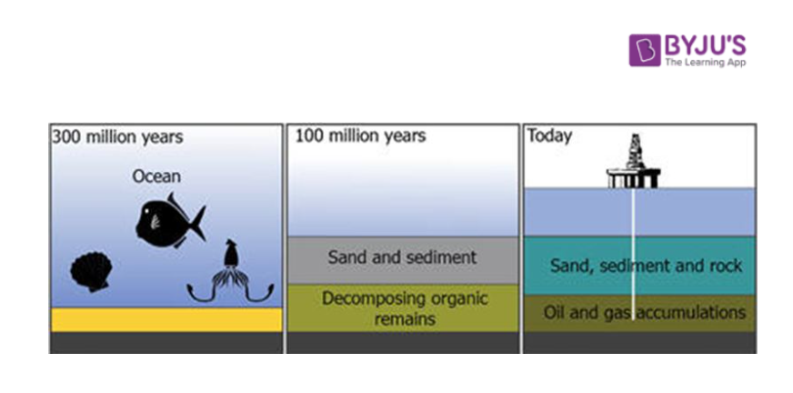 How Is Petroleum Formed Short Answer