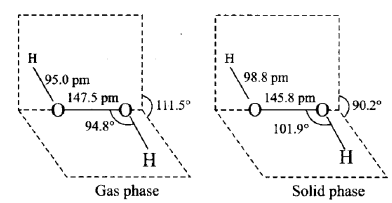 Gas phase and solid phase structure of H₂O₂