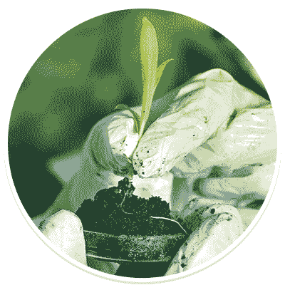 Biotechnology Biotechnology