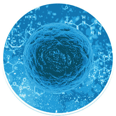 Molecular Genetics Molecular Genetics