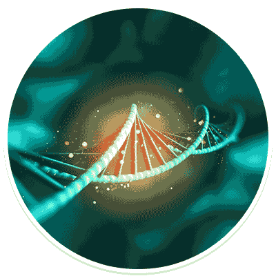 DNA DNA