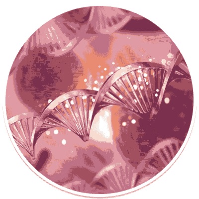 Gene Regulation Gene Regulation