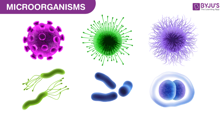 Microorganisms