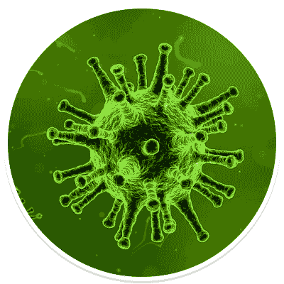 Viruses Viruses