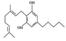 outline structure of a drug