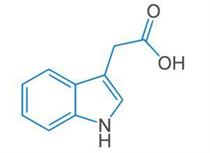 Auxin