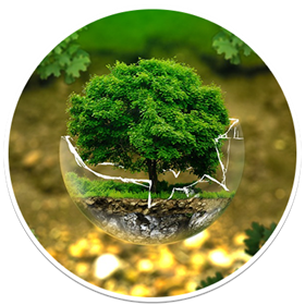 Ecology
