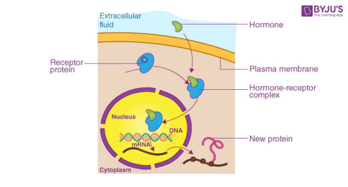 Gene Regulation - An overview of Gene Expression and Regulation