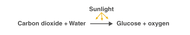 chemical formula for photosynthesis